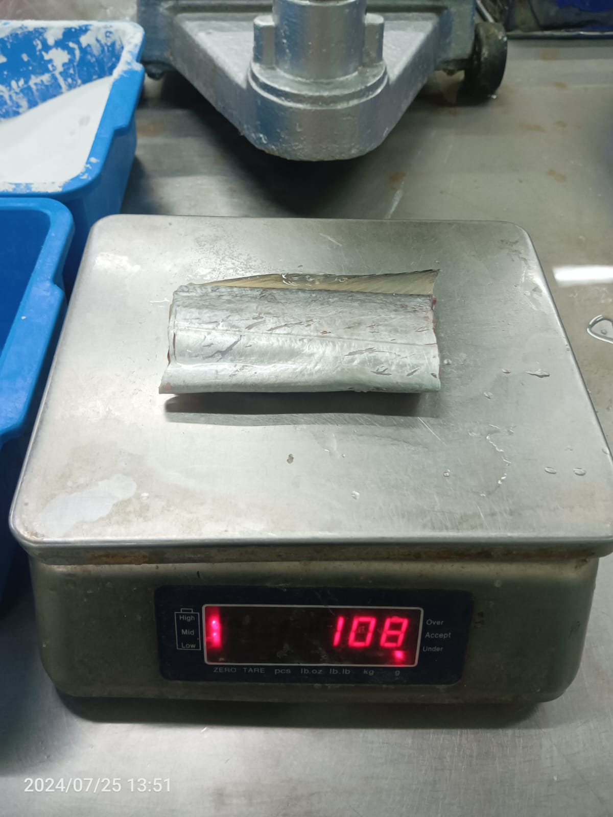 Real photo of frozen ribbon fish (Layur) on scale at ALINDO cold storage