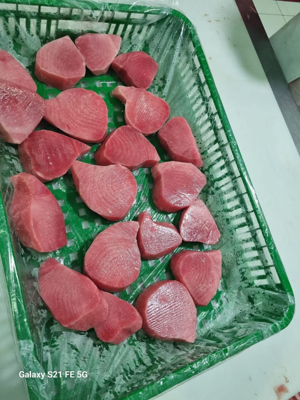 Real photo of premium frozen tuna steaks from ALINDO cold storage in Prigi
